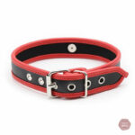 Collier D'appartenance 20, parfait pour les jeux de domination