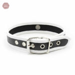 Collier D'appartenance 20, idéal pour les couples BDSM