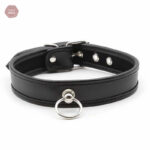 Collier D'appartenance 20, un choix raffiné pour les amateurs