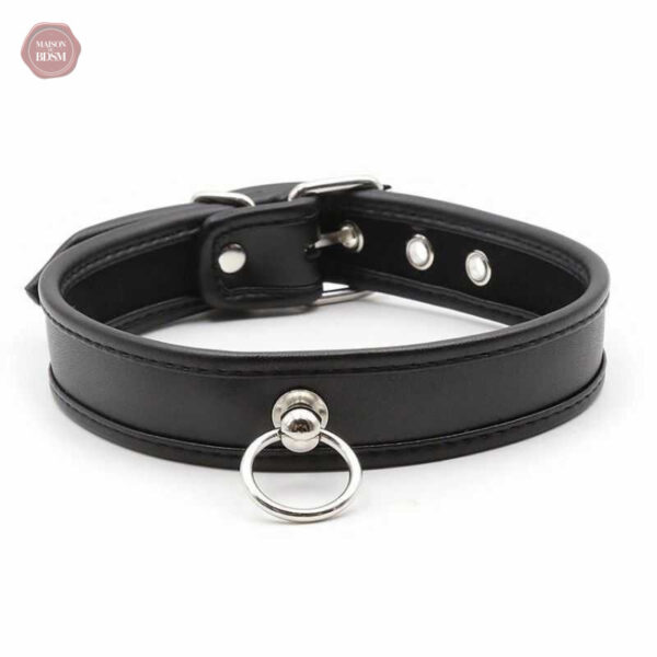 Collier D'appartenance 20, un choix raffiné pour les amateurs