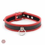 Collier D'appartenance 20, accessoire essentiel pour jeux BDSM