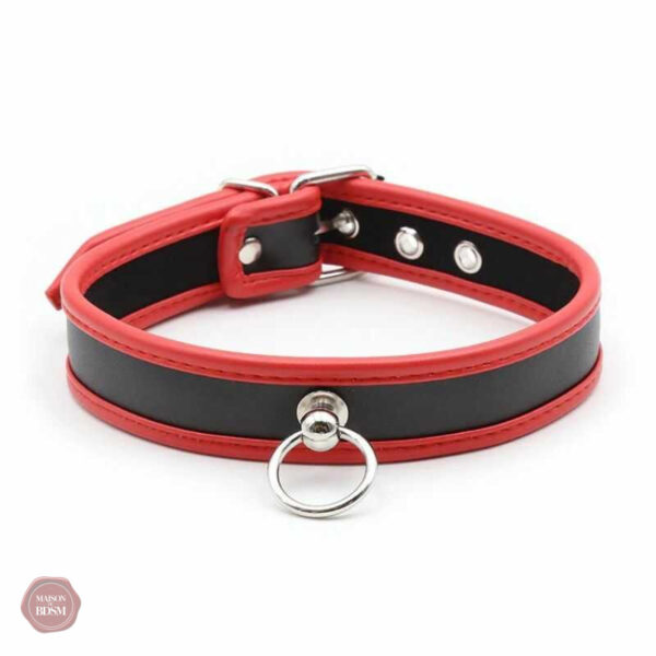Collier D'appartenance 20, accessoire essentiel pour jeux BDSM