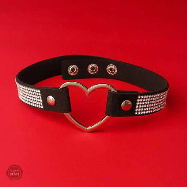 Accessoire mignon pour jeux BDSM et domination