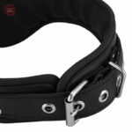 Collier de posture pour domination consensuelle