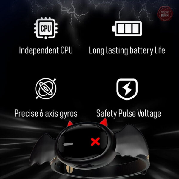Collier BDSM télécommandé pour des jeux intenses