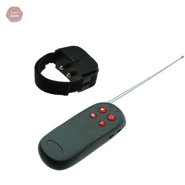 collier-electrique-cbt-a-distance-pour-le-penis-et-les-te-gyke4w-1 Collier Électrique Cbt À Distance pour Pénis et Testicules