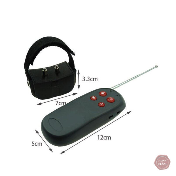 Collier de stimulation électrique pour pénis et testicules