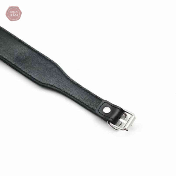 Collier en cuir pour pratiques érotiques