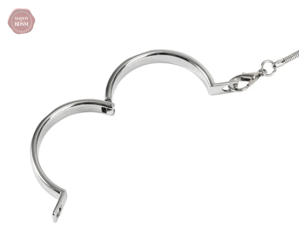 Laisse attachée à un collier verrouillable en métal