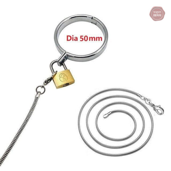 Collier et laisse pour expérience CBT unique