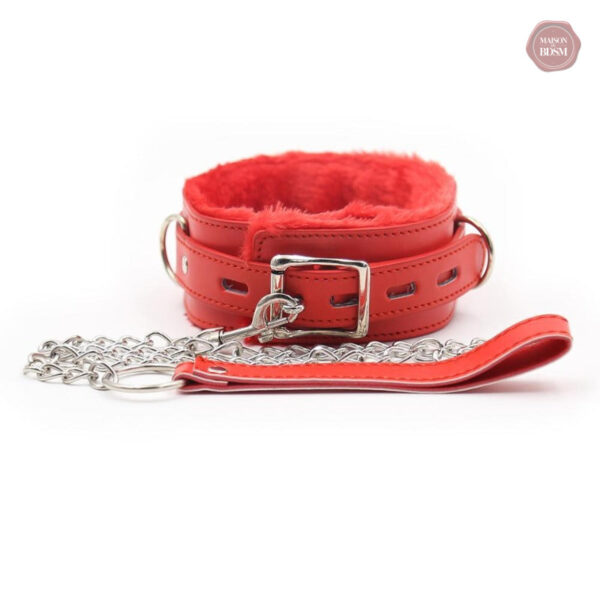 Laisse Kawaii, collier tendance pour pratiques BDSM