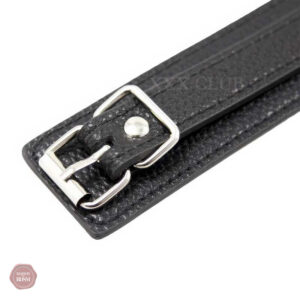 Accessoire BDSM : collier et laisse en cuir