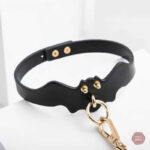 Accessoire BDSM : collier et laisse assortis