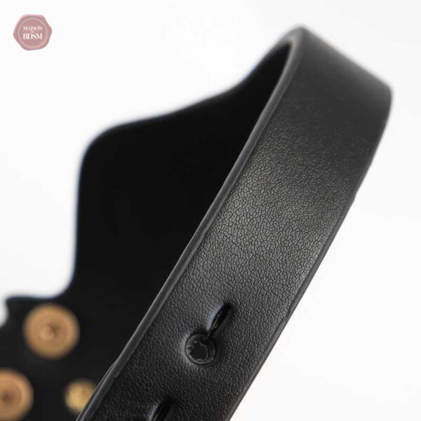 Laisse intégrée avec design chauve-souris