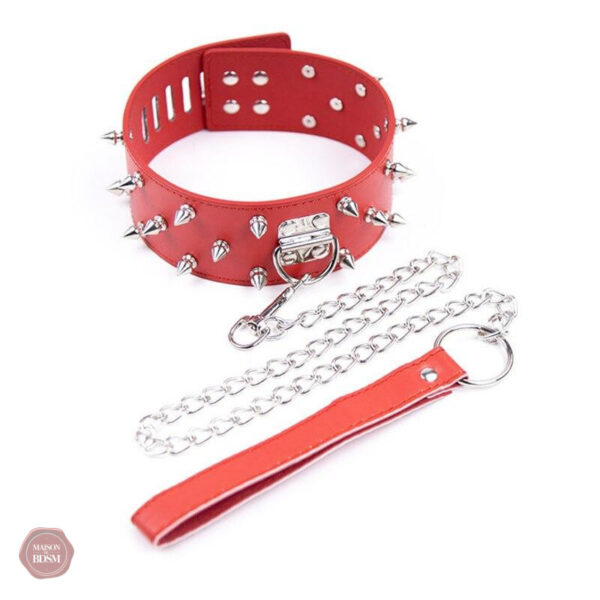 Équipement de jeu BDSM, collier stylé et robuste