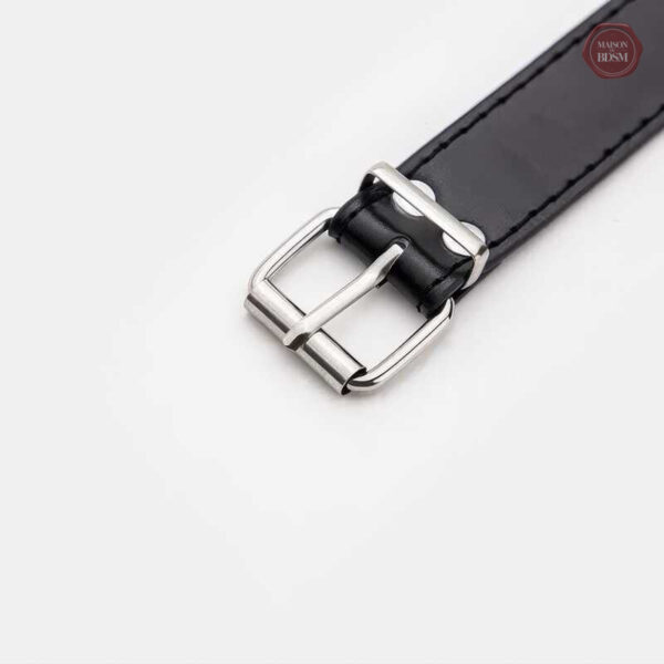 Design élégant de collier BDSM, parfait pour les amateurs de jeux