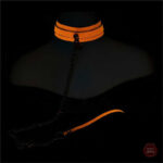 Accessoire de BDSM avec effet phosphorescent