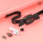 Accessoire intime : collier et plug anal synchronisés par application