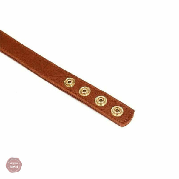 Collier sexy avec pinces tétons pour jeux adultes