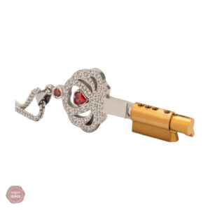 Accessoire de chasteté en diamant moissanite raffiné