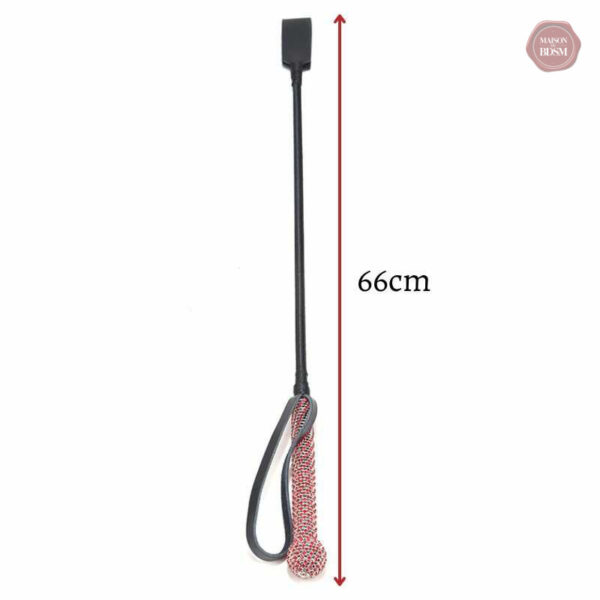 Accessoire de soumission au design chic en cristal