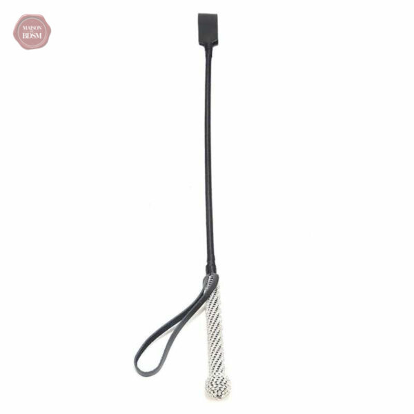 Paddle décoratif en cristal pour les amateurs de BDSM
