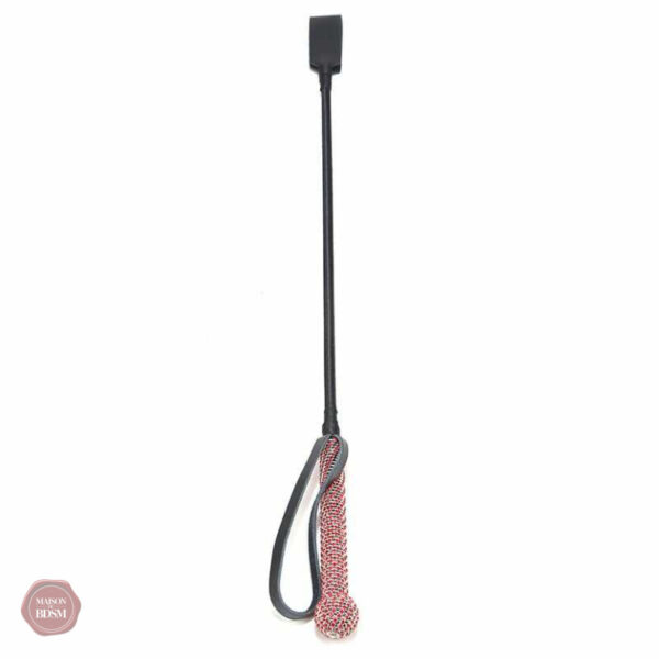Accessoire BDSM en cristal pour des moments de complicité