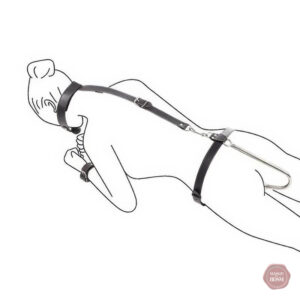Accessoire de plaisir intime avec collier