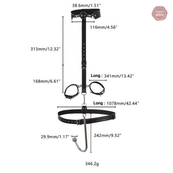 Accessoire de bondage avec crochet anal