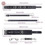 Accessoire de domination anal
