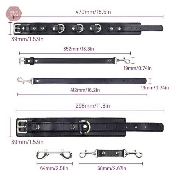 Accessoire de domination anal