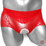 Culotte délicate pour moments coquins