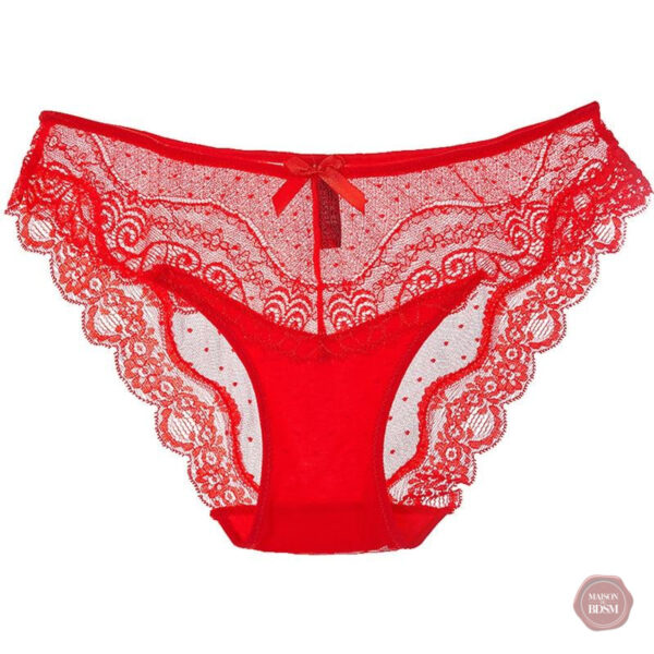 culotte-en-dentelle-b-1 Culotte en dentelle élégante pour travestis