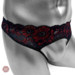 Culotte en dentelle sans entrejambe élégante