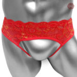 Lingerie en dentelle adaptée au travestissement
