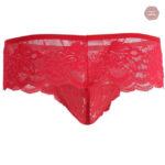 Sous-vêtements Sissy en dentelle raffinée