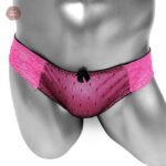Vêtements travestis : culotte en dentelle raffinée