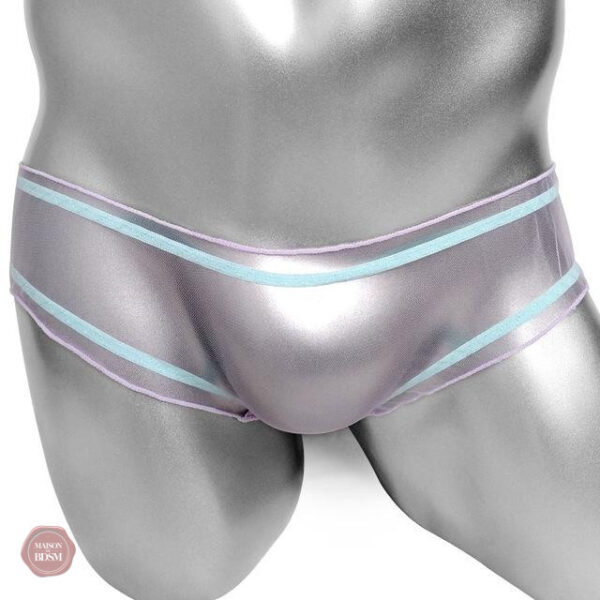 Culotte sexy à porter au quotidien ou en soirée