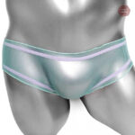 Culotte sexy taille basse pour une touche de provocation