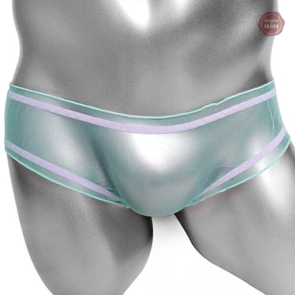 Culotte sexy taille basse pour une touche de provocation