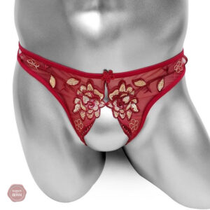 Culotte sexy Sissy, parfaite pour oser avec élégance