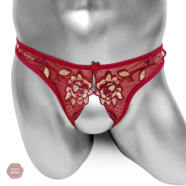 Culotte sexy Sissy, parfaite pour oser avec élégance