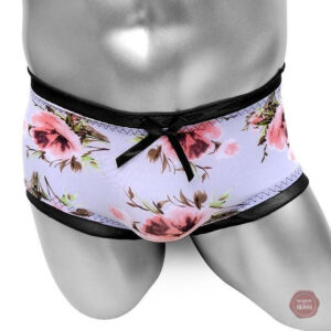 Sous-vêtements masculins Sissy, légèreté et élégance en nylon