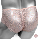 Culotte transparente en dentelle délicate
