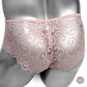 Culotte transparente en dentelle délicate