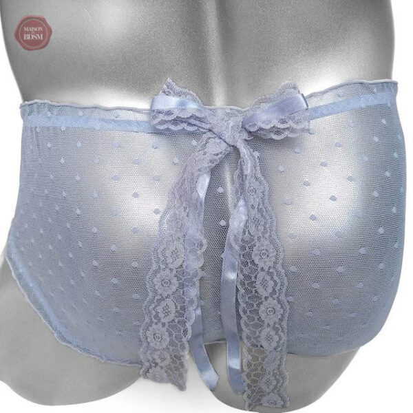 Culotte Sissy en tissu transparent séduisant