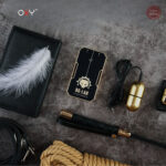 Kit complet E-Stim pour expériences de jeu électro