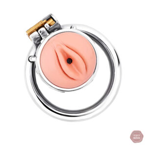 Fausse cage de chasteté en acier inoxydable et silicone
