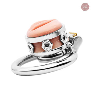 Cage de chasteté en acier inoxydable, design élégant