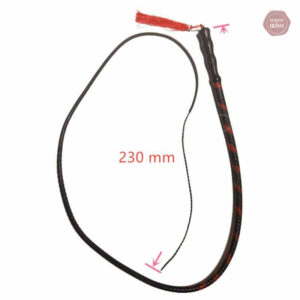 Fouet de jeu érotique pour couples explorant le BDSM